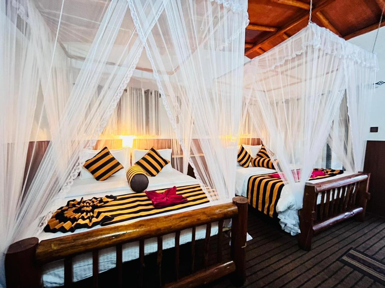 Rainbow Sky Cottage إيلا المظهر الخارجي الصورة